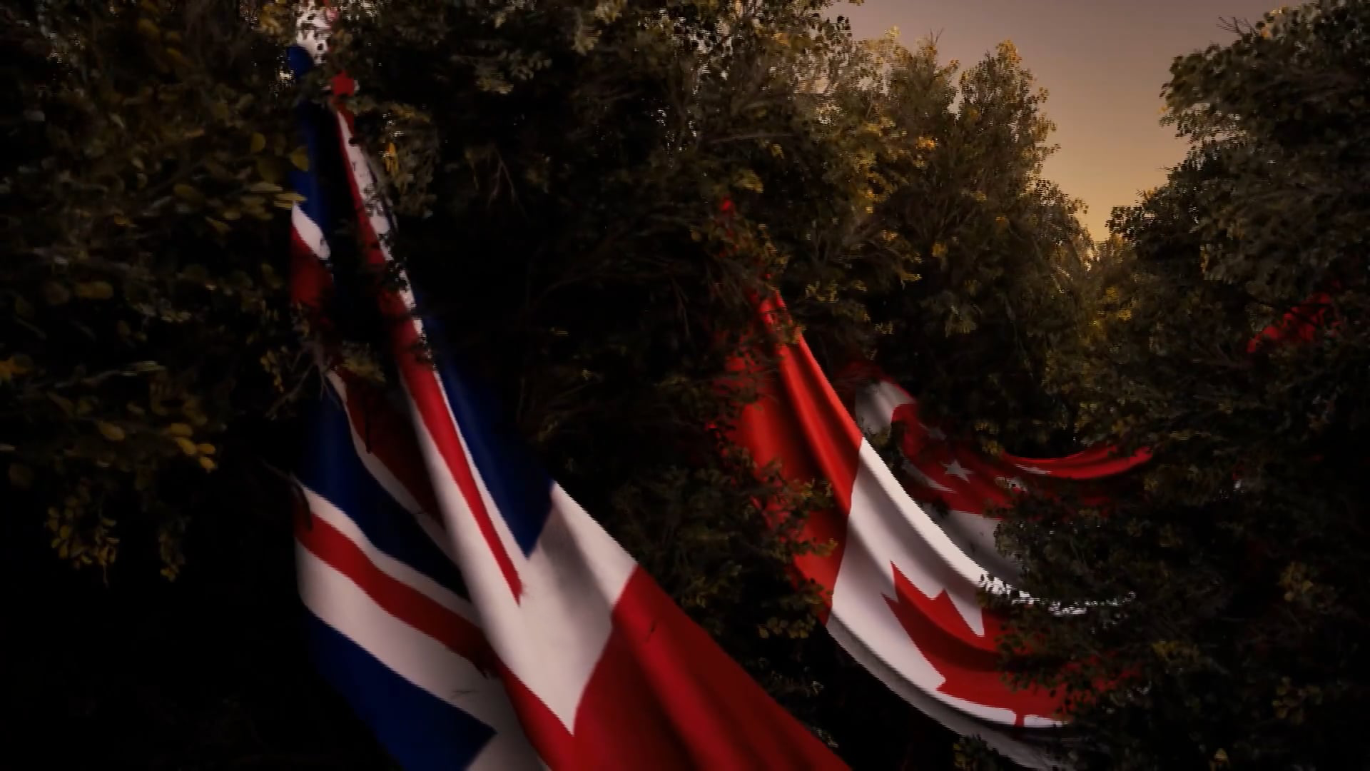 the bird, the girl and the typhoon by angeline marie michael meitzler, angeline meitzler